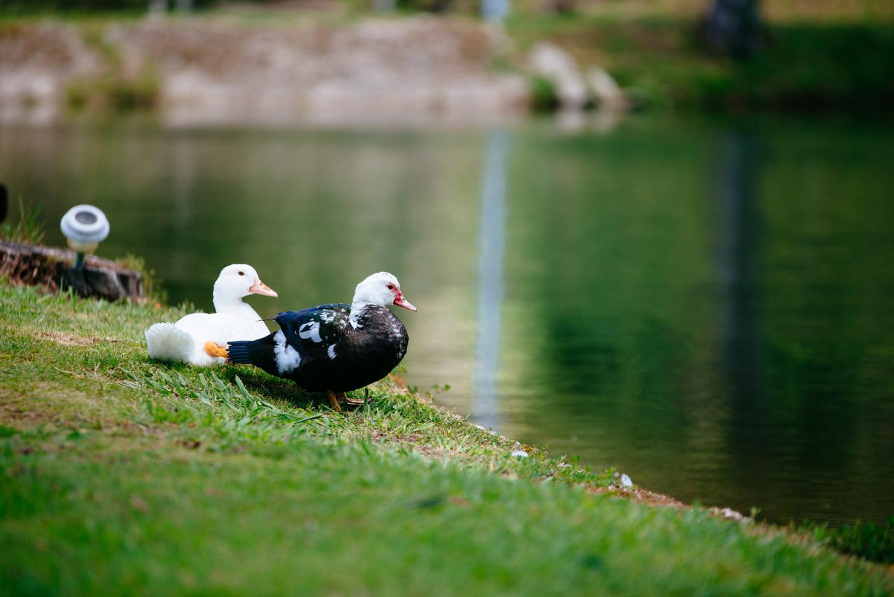 Quinta Do Rio Geres Villa Bouro Bagian luar foto