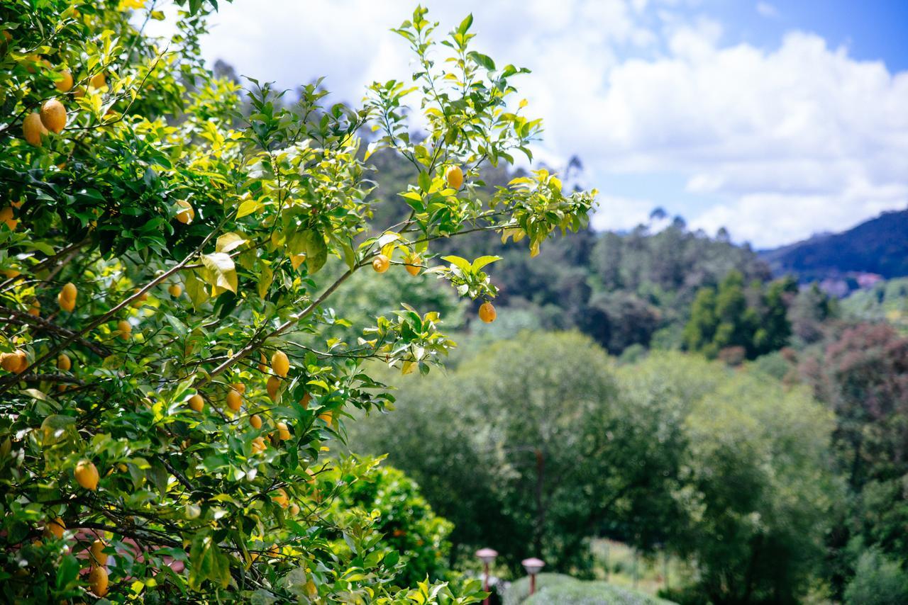 Quinta Do Rio Geres Villa Bouro Bagian luar foto